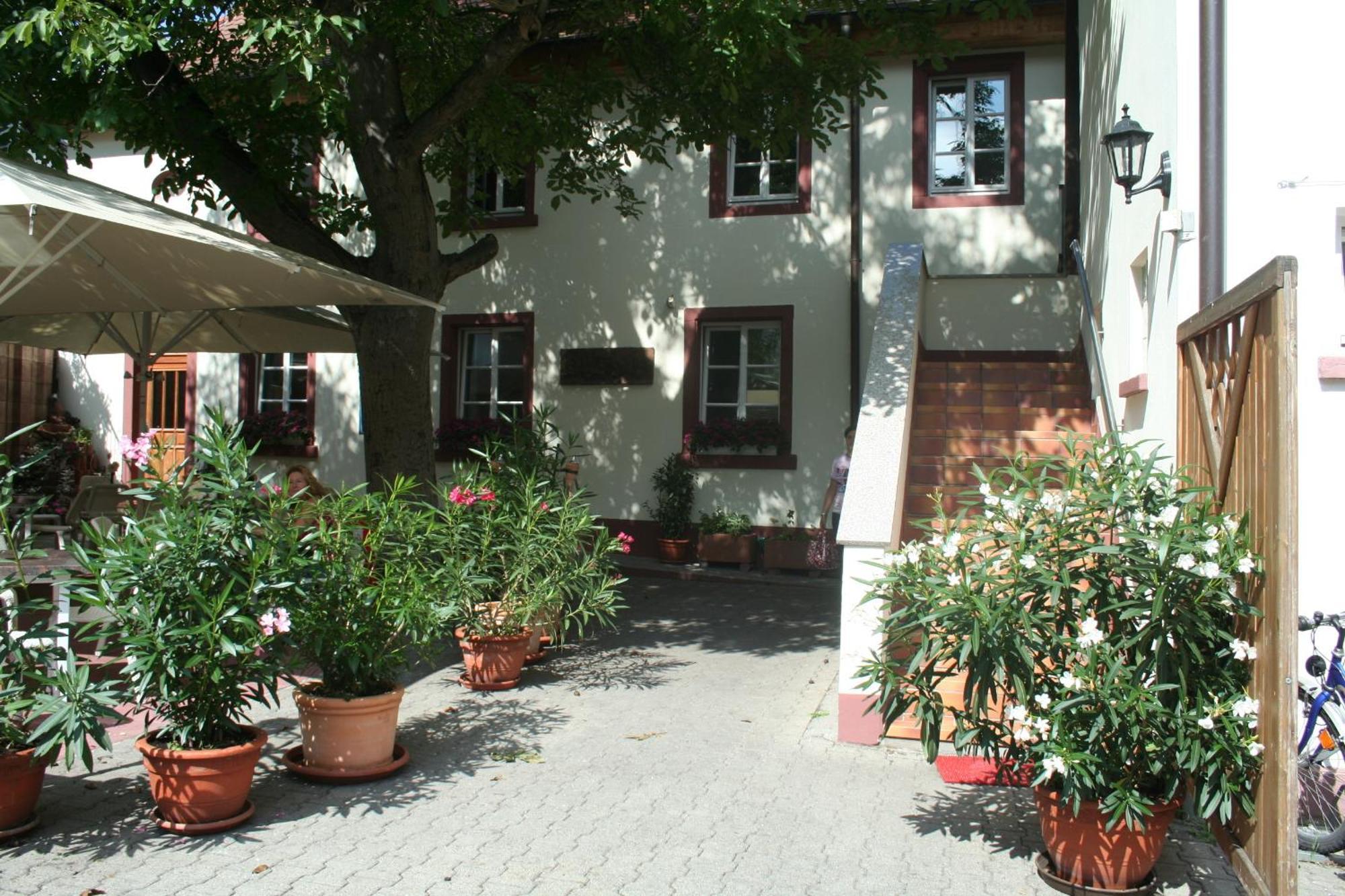 - Ristorante La Grotta